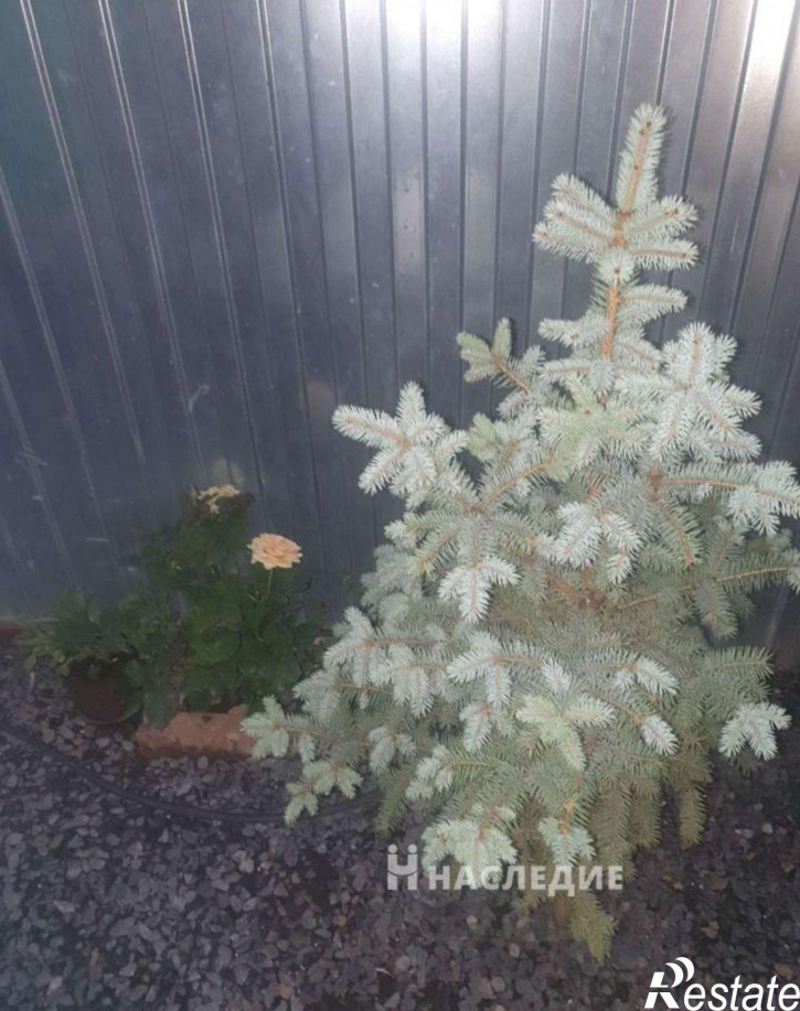 Коттедж/дом Медведицкий пер, д. 8