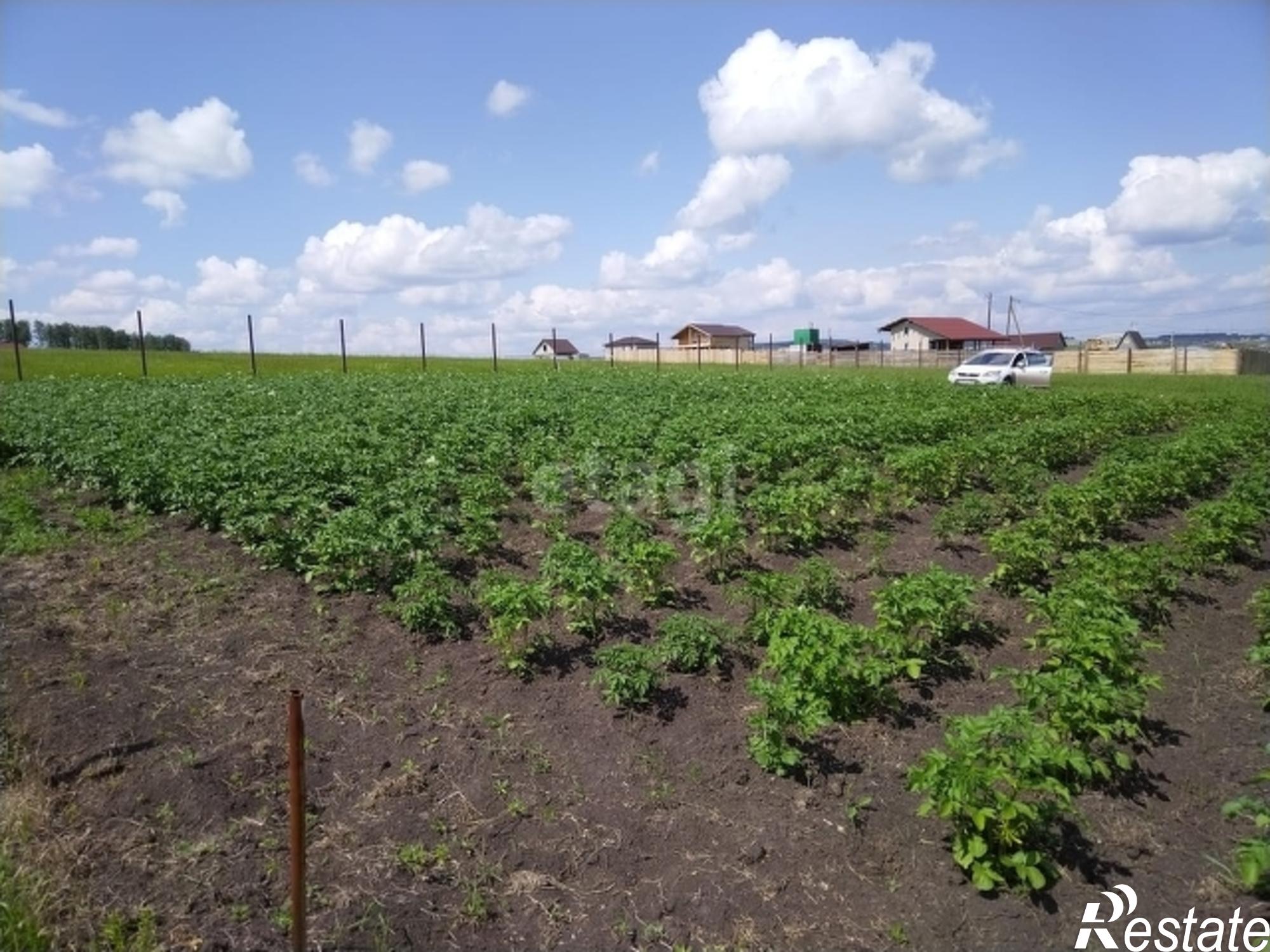 Купить землю, земельный участок за 700 000 рублей на Array