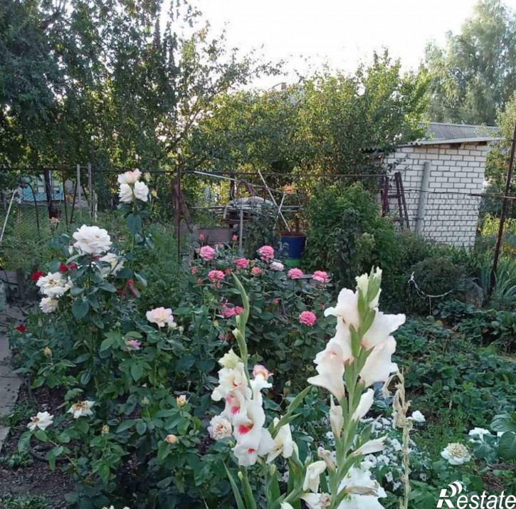 Коттедж/дом Мира 00
