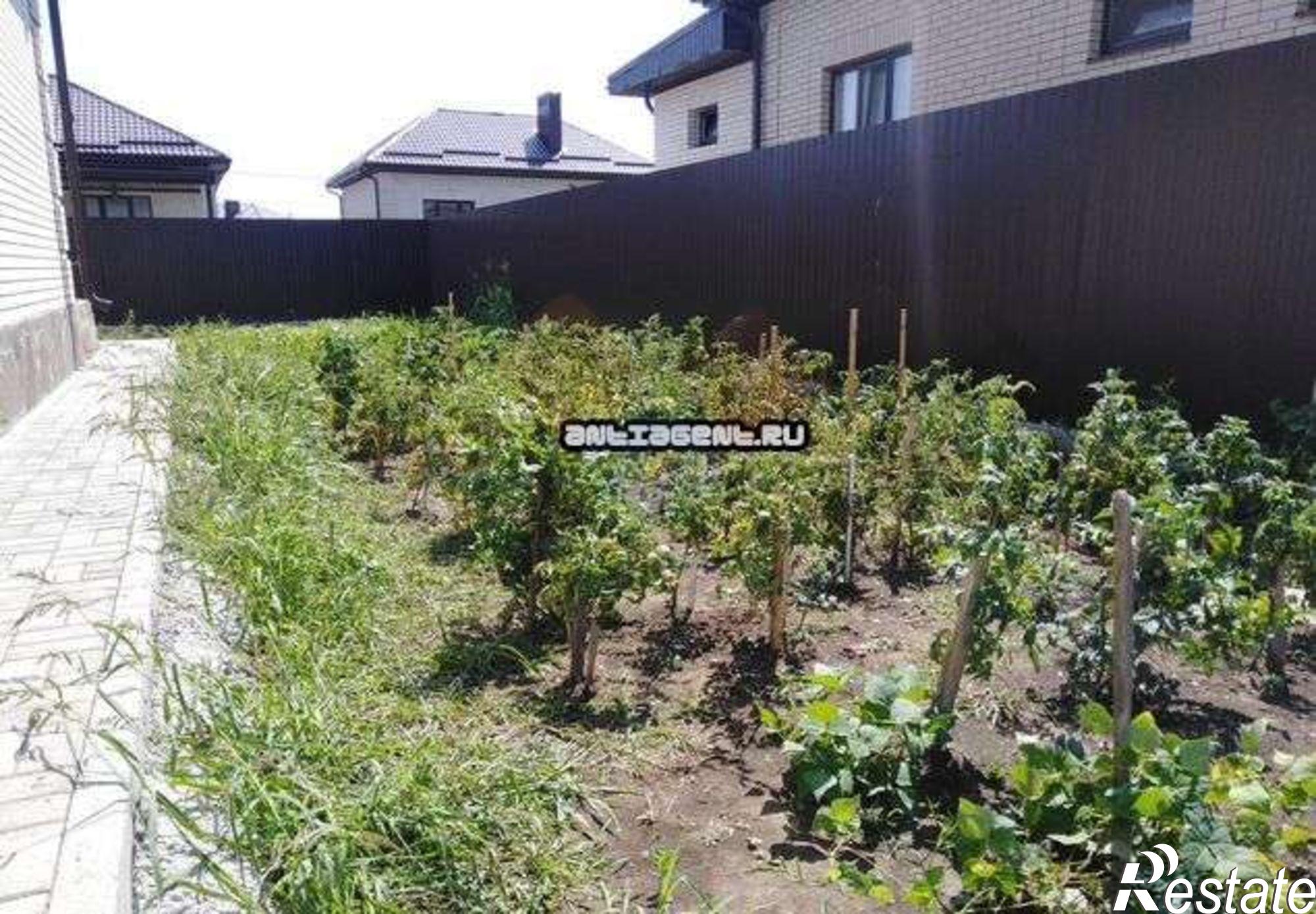 Сдать дачу, дом, коттедж за 25 000 рублей на Краснодар