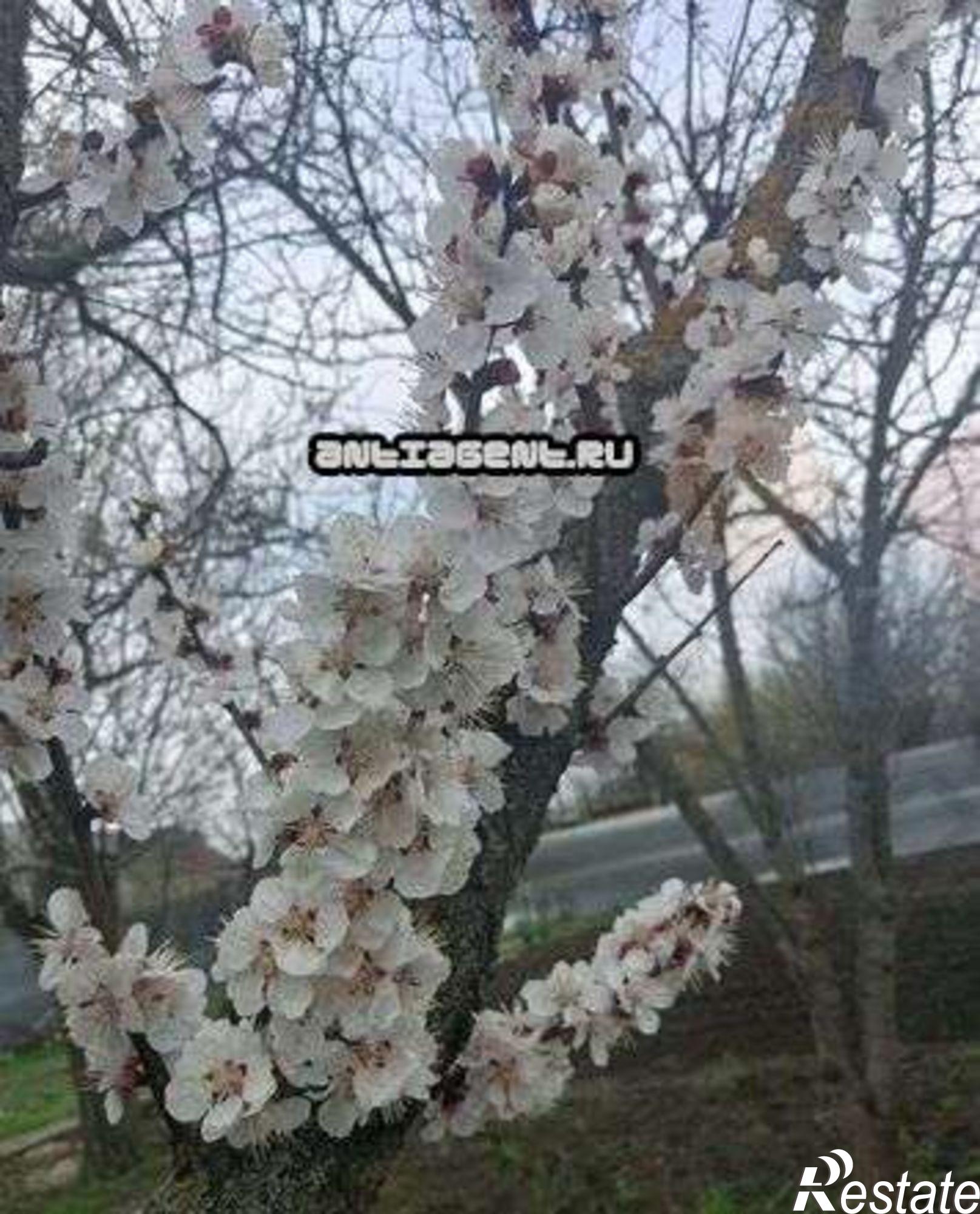 Купить дачу, дом, коттедж за 2 500 000 рублей на Энтузиастов ул, 83