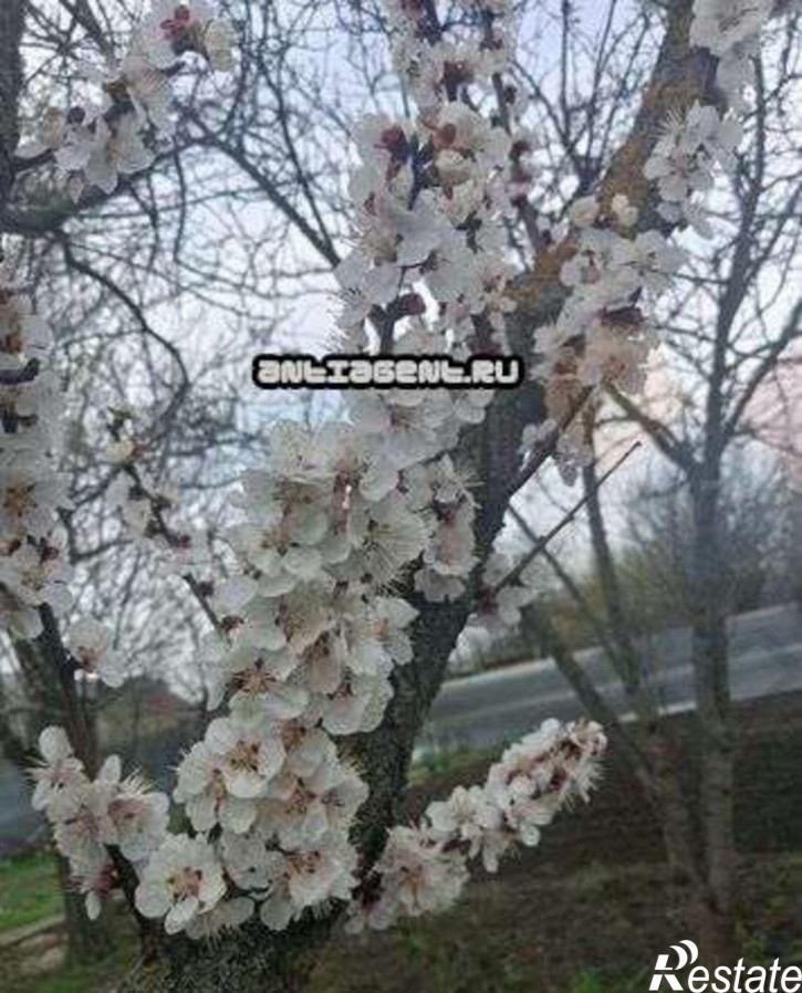 Коттедж/дом Энтузиастов ул, 83