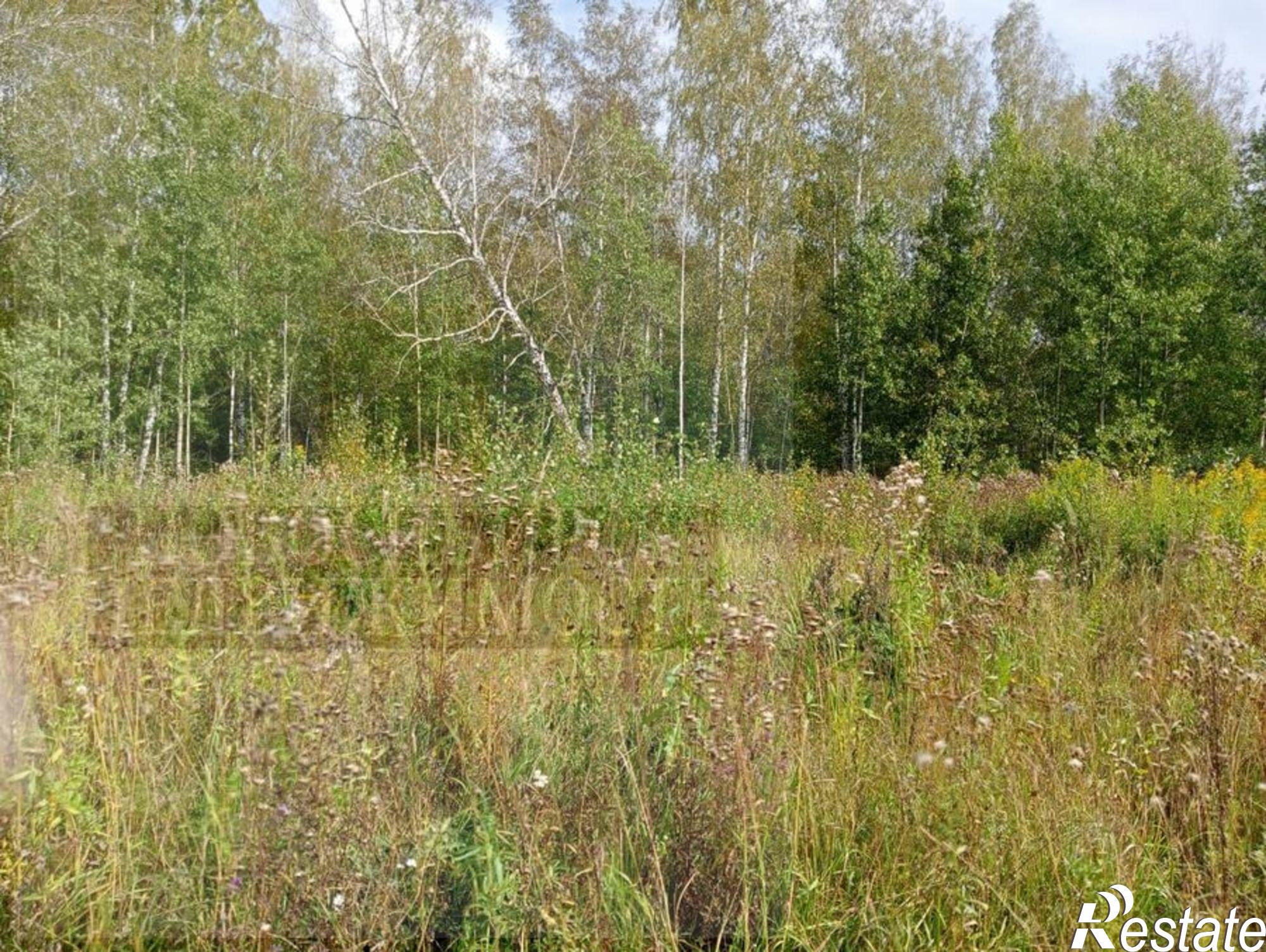 Купить землю, земельный участок за 150 000 рублей на ст. Боровушка