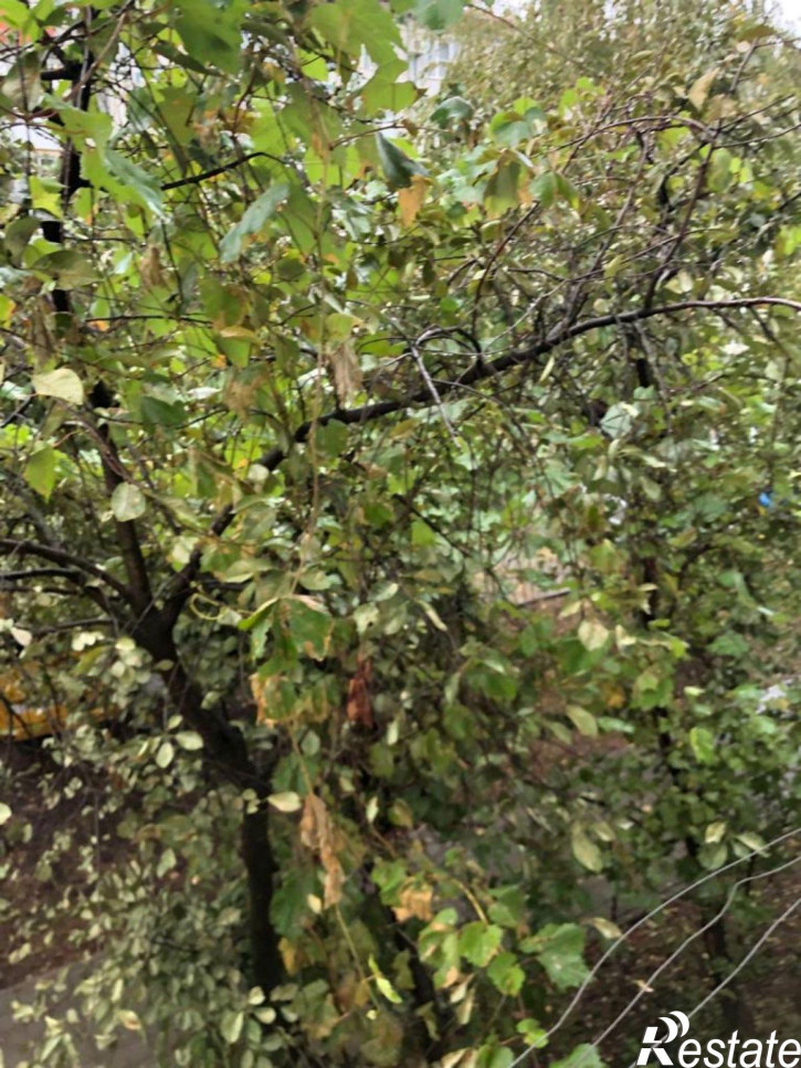 2-комн квартира Садовая ул (Знаменский СТ), 32