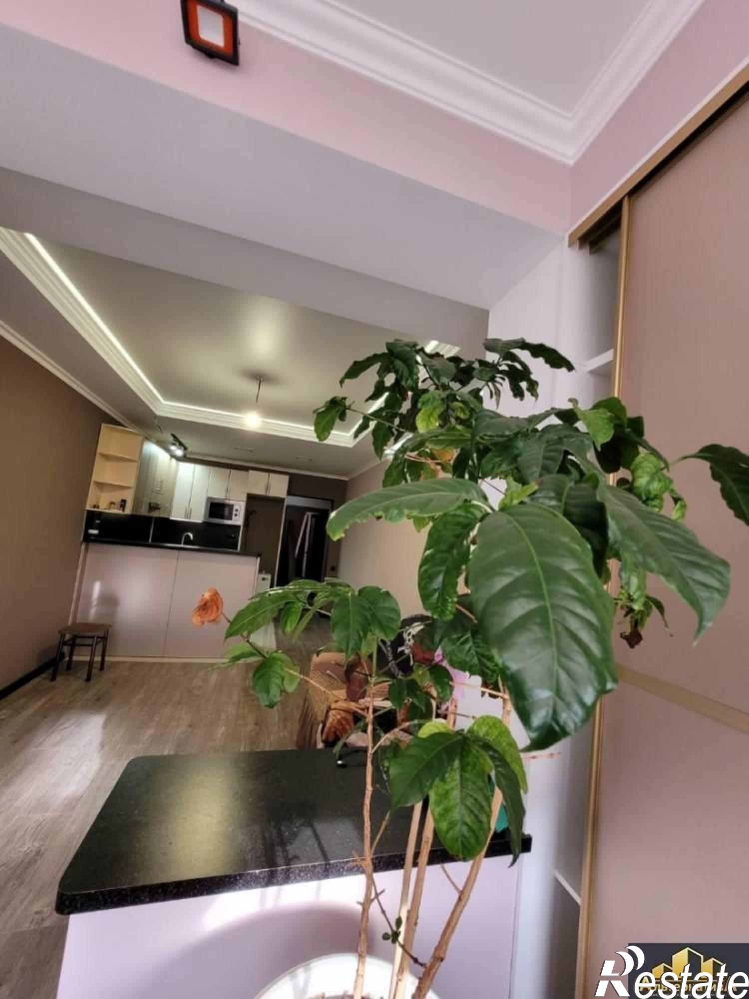 Сдать квартиру за 36 000 рублей на Катыхина ул.