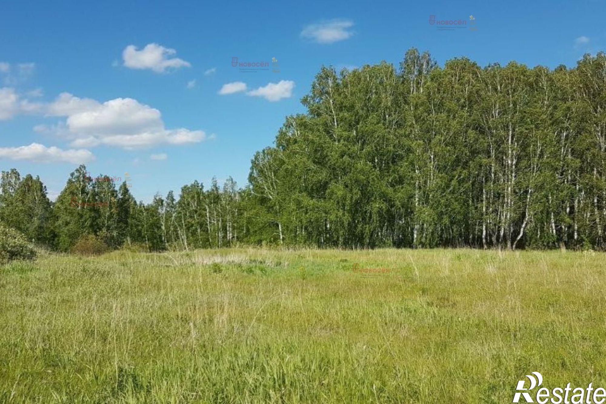 Купить землю, земельный участок за 7 900 000 рублей на село Огневское