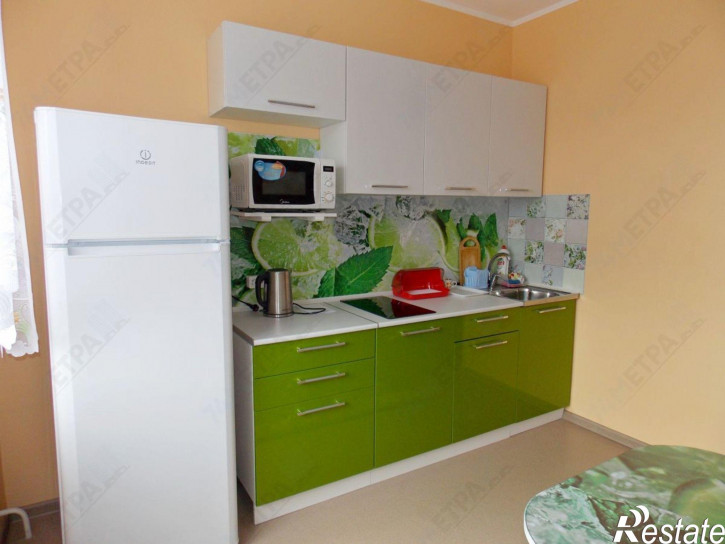 1-комн квартира Братьев Кашириных ул, 101