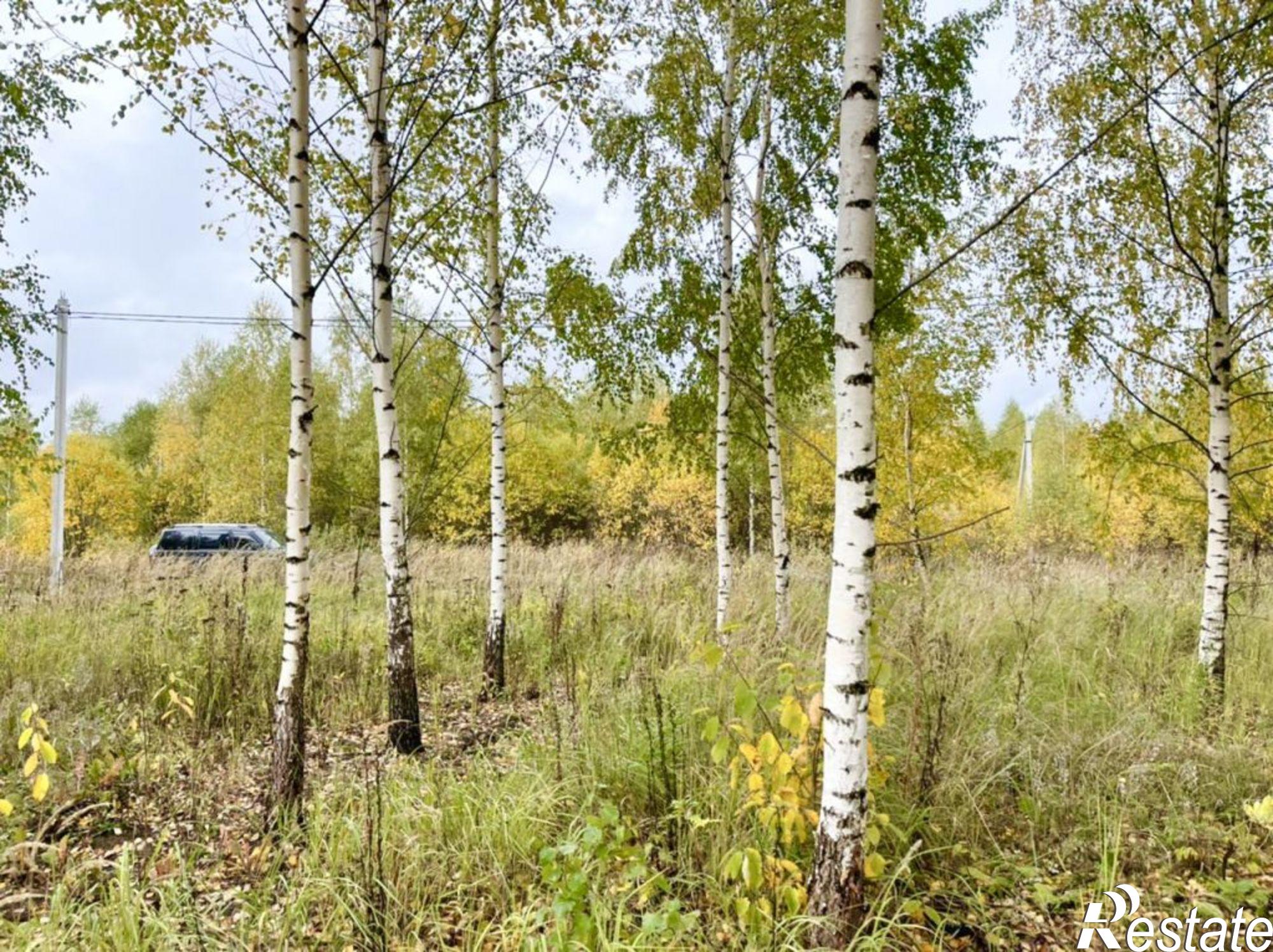 Купить землю, земельный участок за 300 000 рублей на Иванисово с