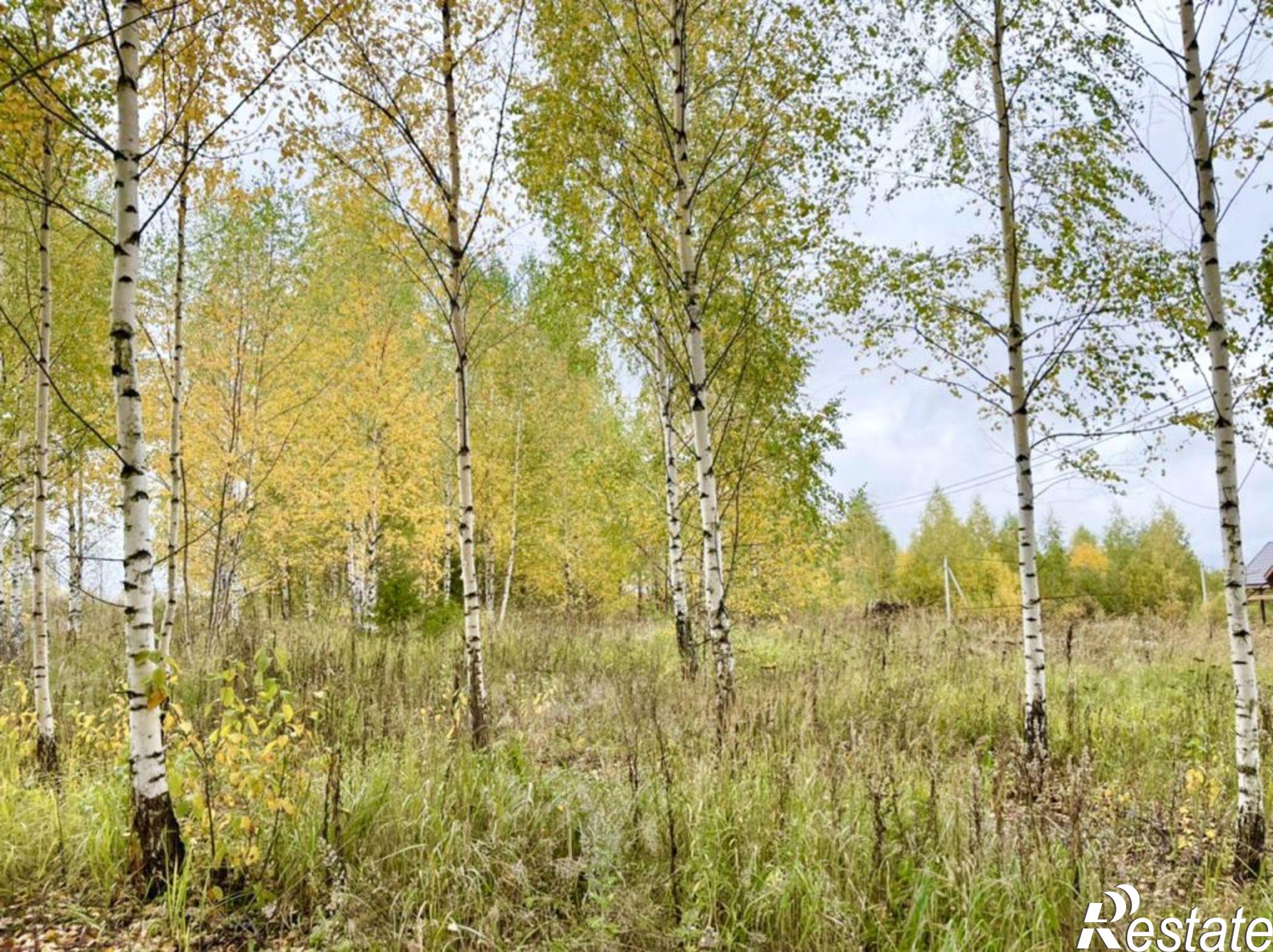 Купить землю, земельный участок за 300 000 рублей на Иванисово с