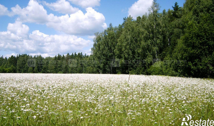 Земельный участок ул. Кленовая, дом 93