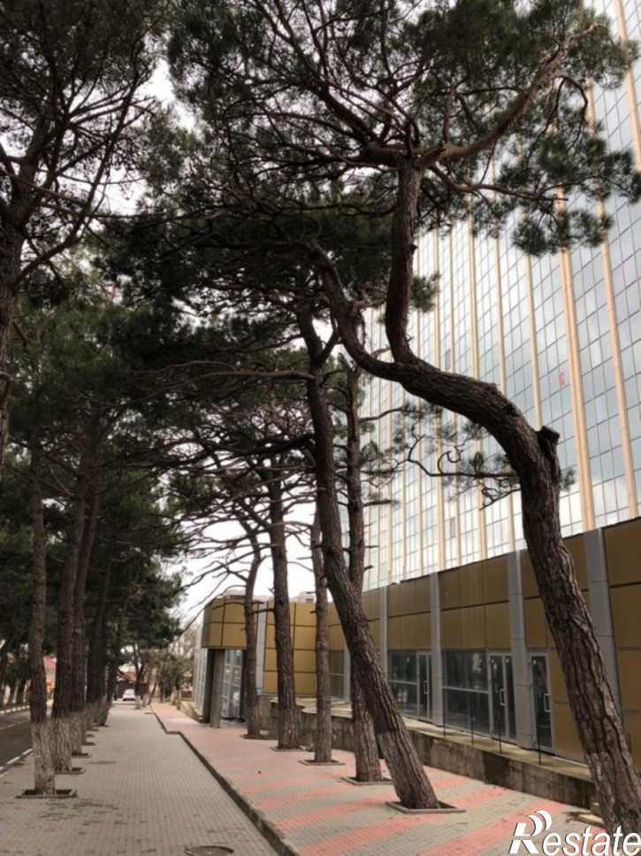 1-комн квартира Шмидта, 3