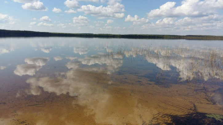 Земельный участок пансионат Чайка Территория