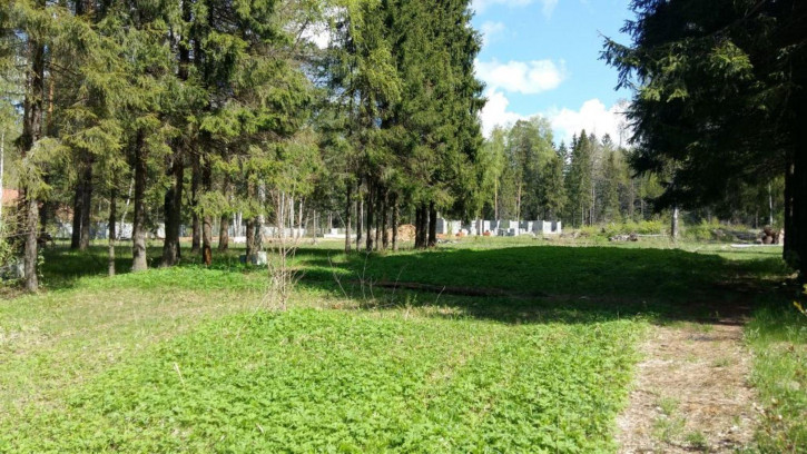Земельный участок пансионат Чайка Территория