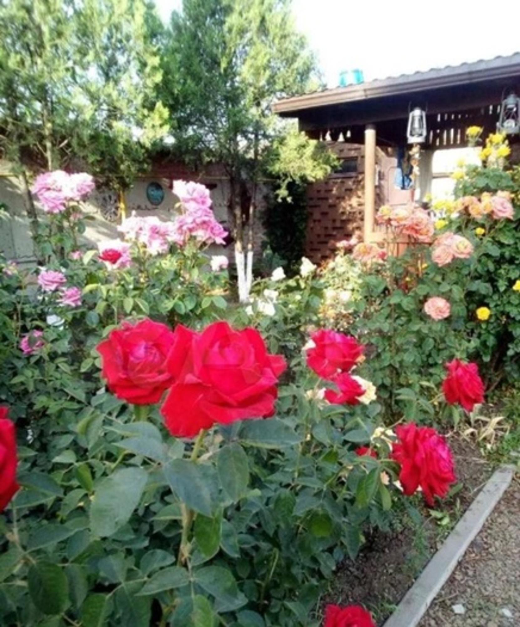 Купить дачу, дом, коттедж за 7 200 000 рублей на энгельса улица, 789