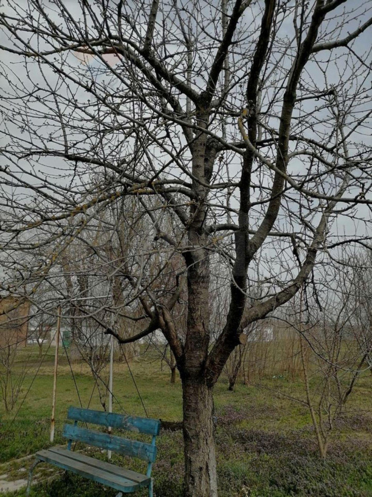 3-комн квартира Парковая ул, 3