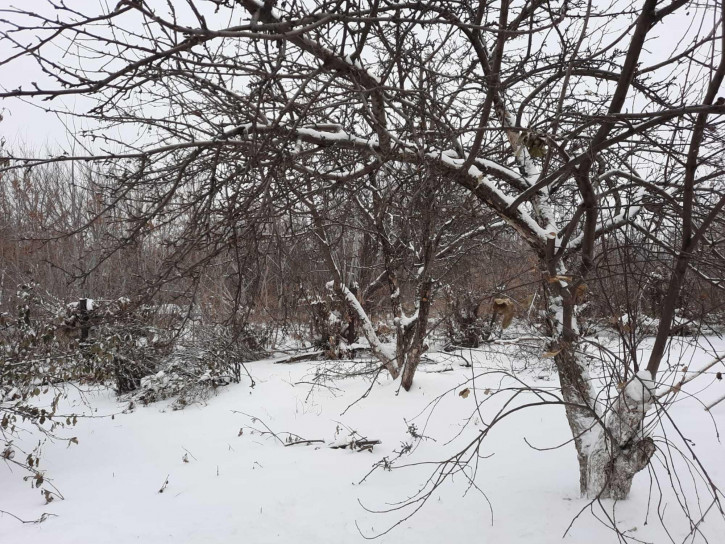 Коттедж/дом РБ, Благовещенский район, с. Удельно-Дуваней, ул. Базарная, д.6,  Базарная, 6