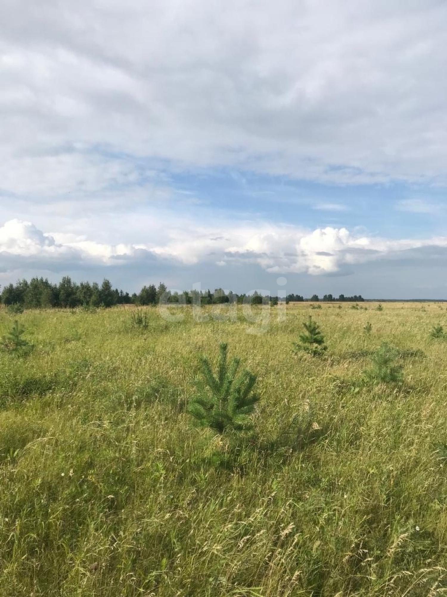 Купить землю, земельный участок за 12 500 000 рублей на Логиново , 221
