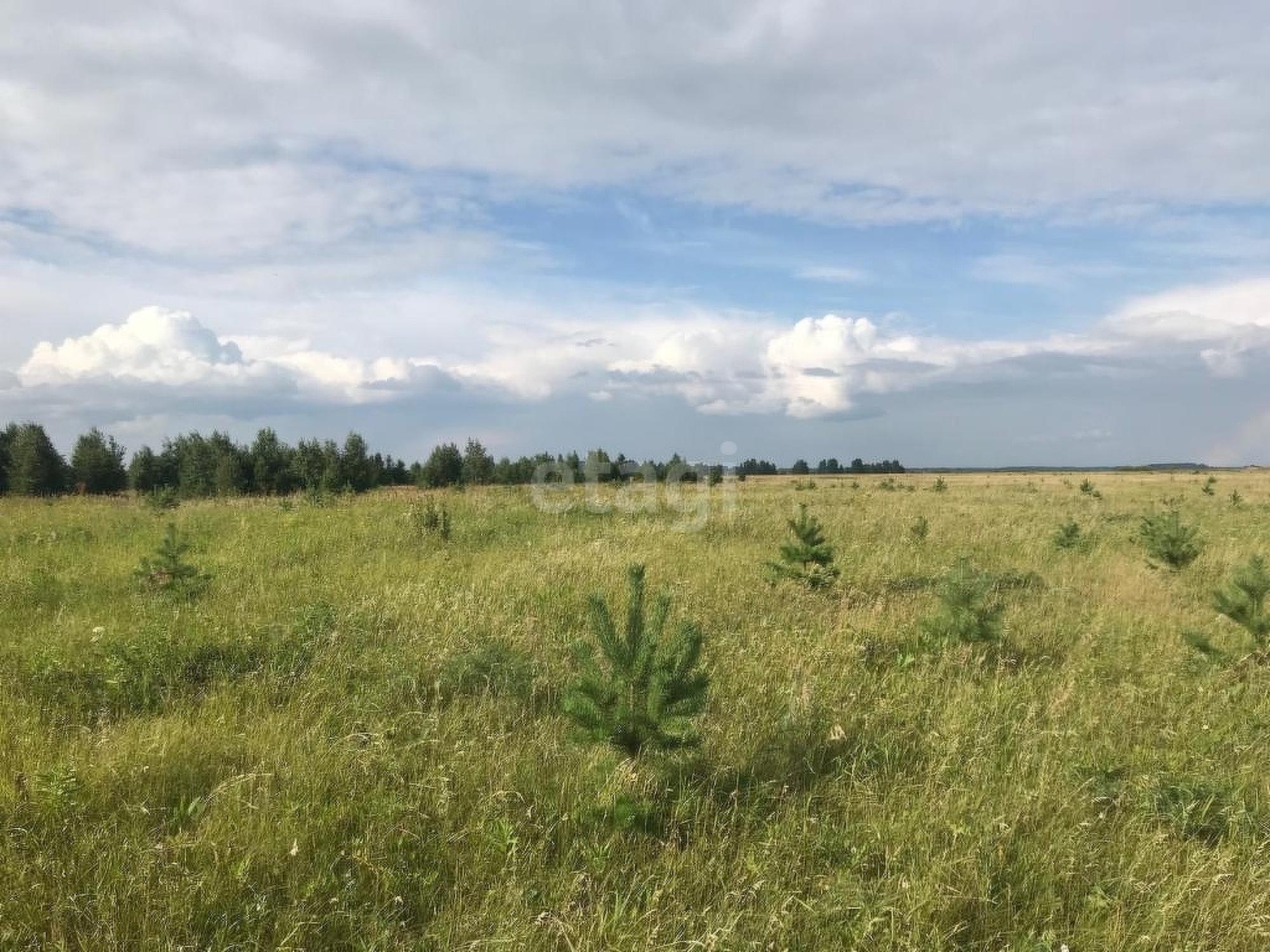 Купить землю, земельный участок за 12 500 000 рублей на Логиново , 221