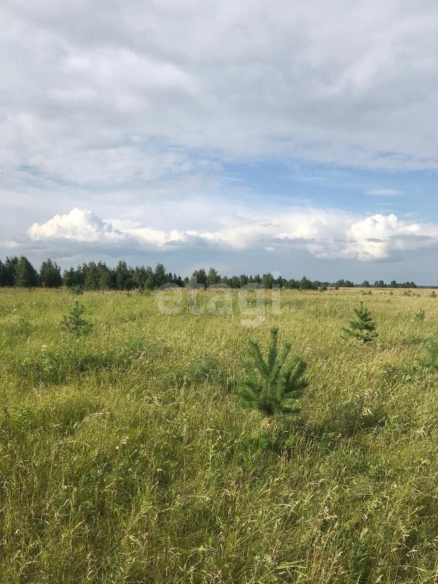 Купить землю, земельный участок за 12 500 000 рублей на Логиново , 221