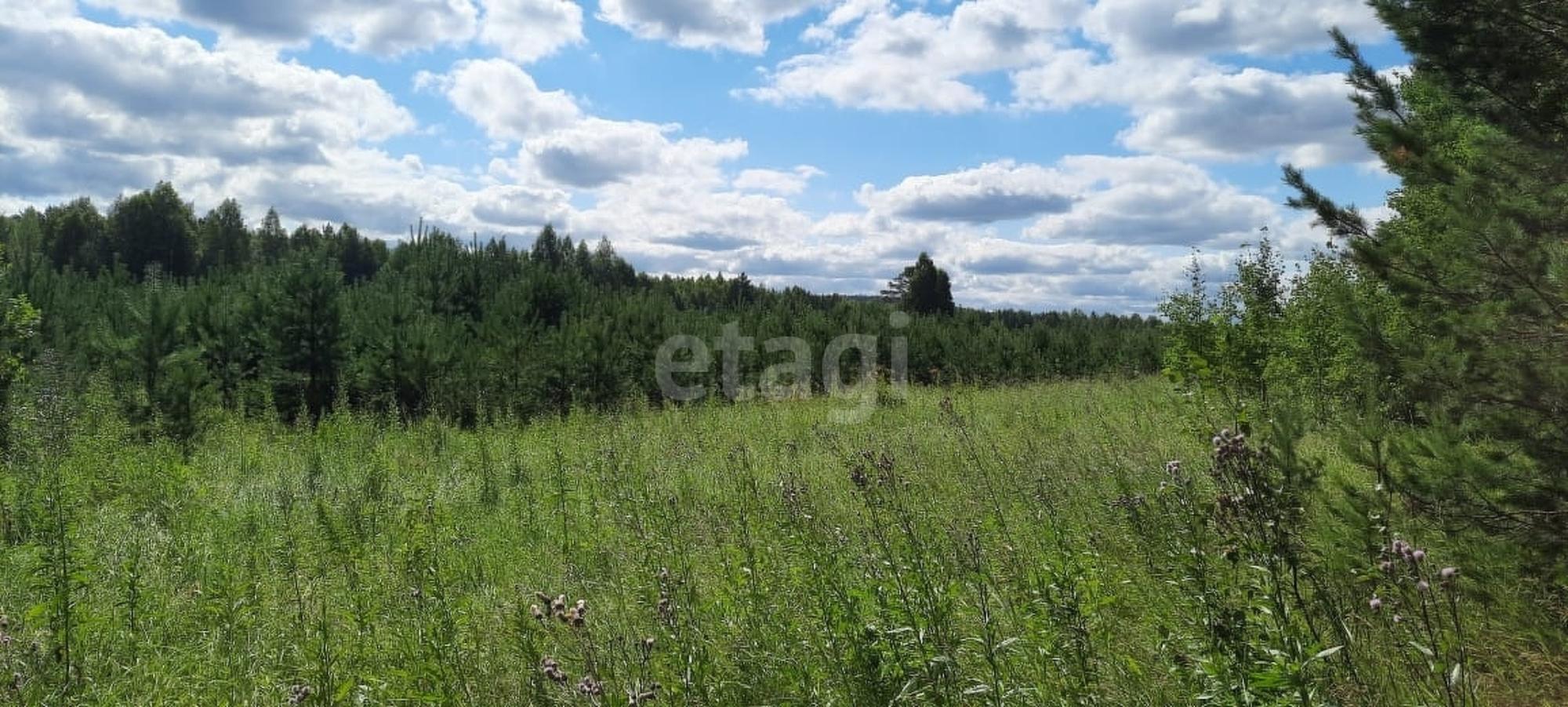 Купить землю, земельный участок за 1 250 000 рублей на Полевской городской округ, село Курганово