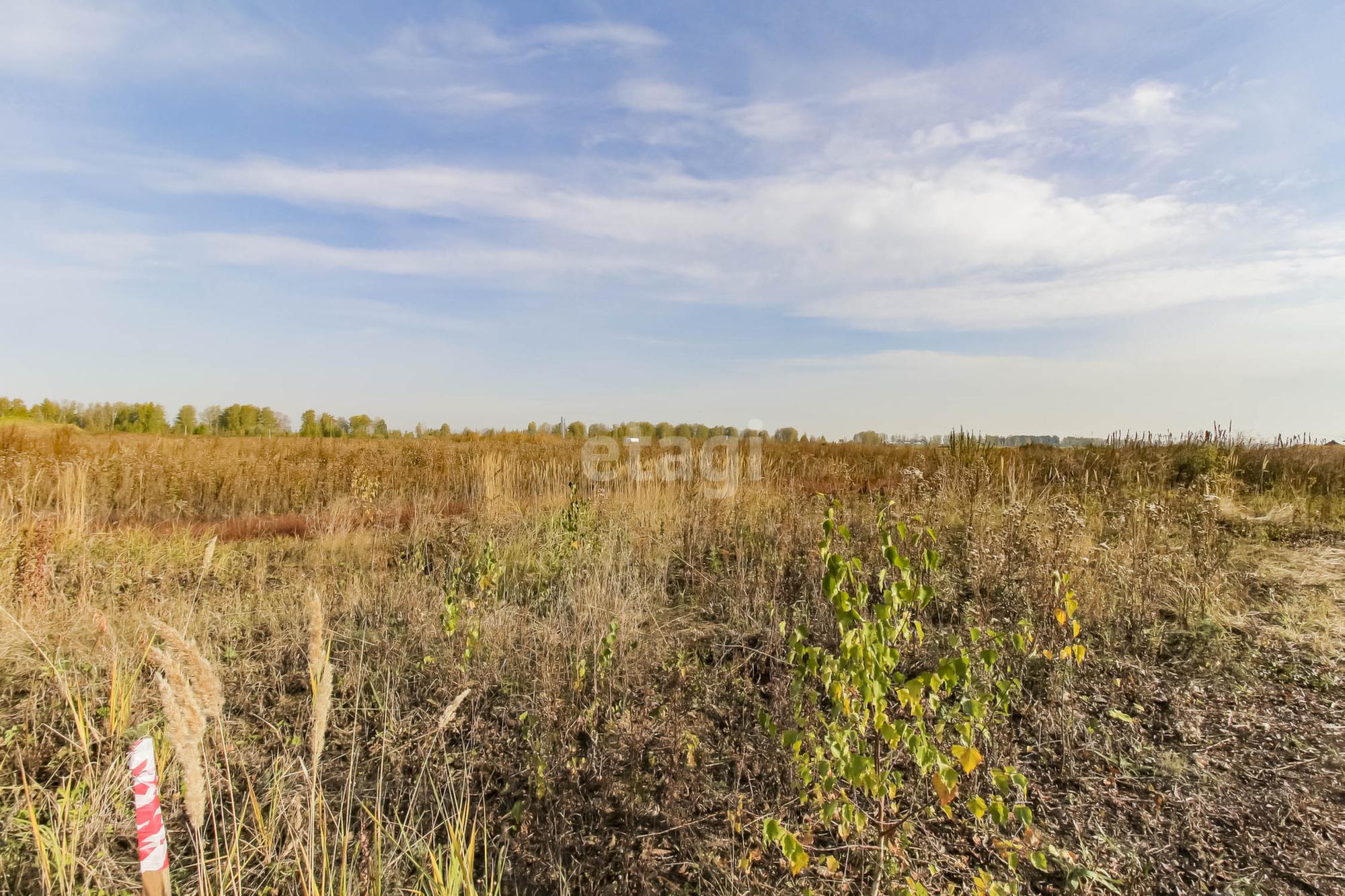 Купить землю, земельный участок за 10 000 000 рублей на село Ембаево
