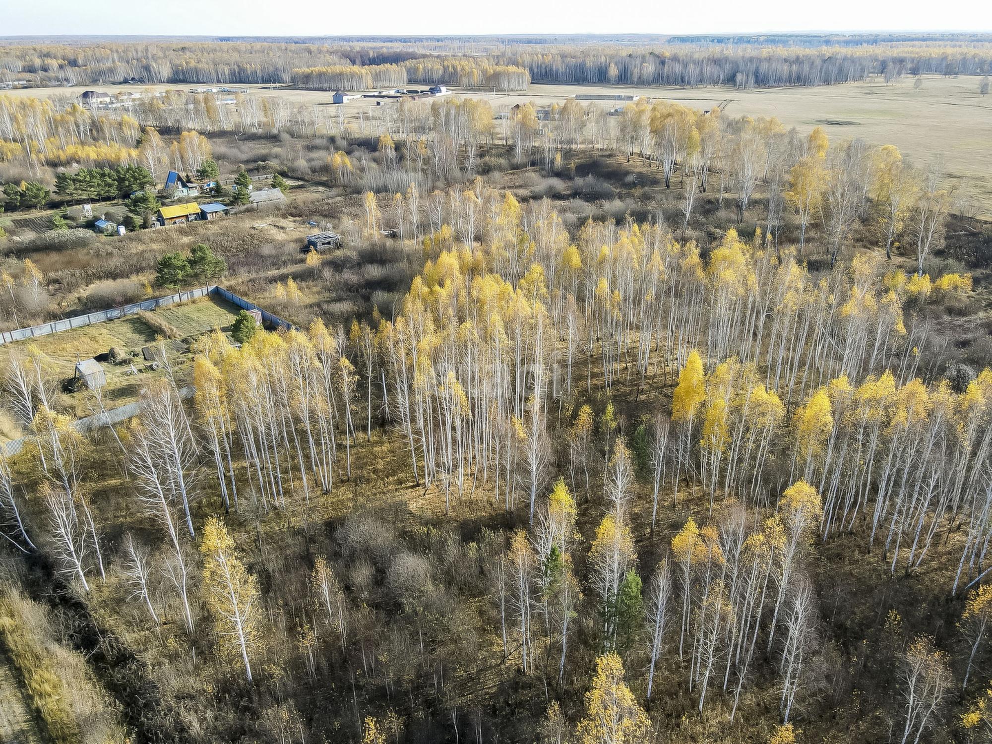 Купить землю, земельный участок за 250 000 рублей на Полевая,