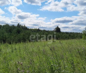 земля 100.17 сот Полевской городской округ, село Курганово