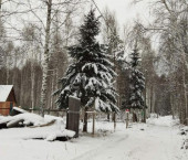 коттедж 15 кв м Рябиновая,