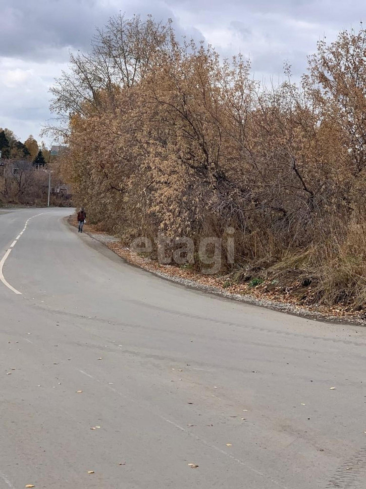 Земельный участок с.Бруснятское, 172