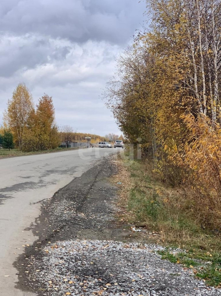 Земельный участок с.Бруснятское, 172