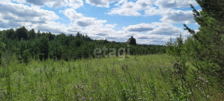 Земельный участок Полевской городской округ, село Курганово