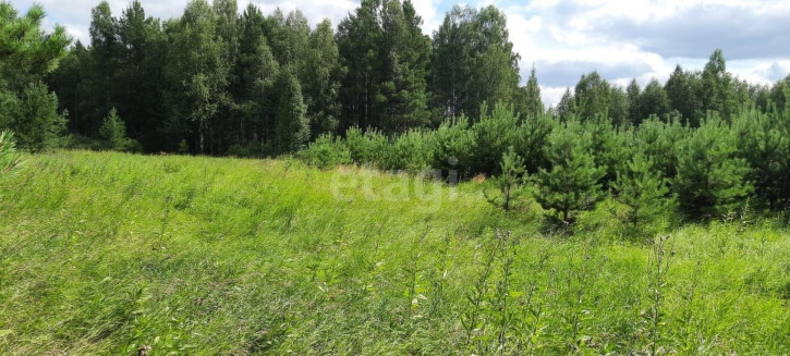 Земельный участок Полевской городской округ, село Курганово