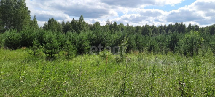 Земельный участок Полевской городской округ, село Курганово
