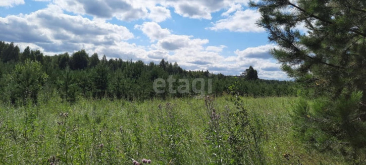 Земельный участок Полевской городской округ, село Курганово