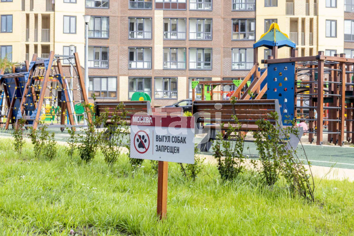 Студия Новоселов, 113