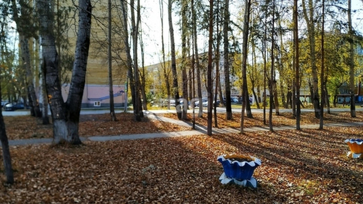 1-комн квартира Судостроителей, 71