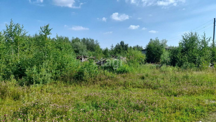 Земельный участок Александра Кузнецова,