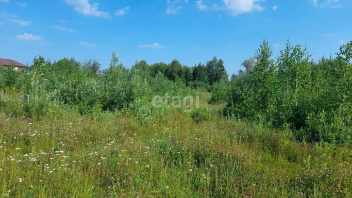 Земельный участок Александра Кузнецова,