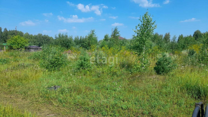 Земельный участок Александра Кузнецова,
