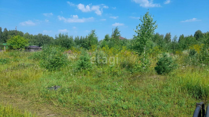 Земельный участок Александра Кузнецова,
