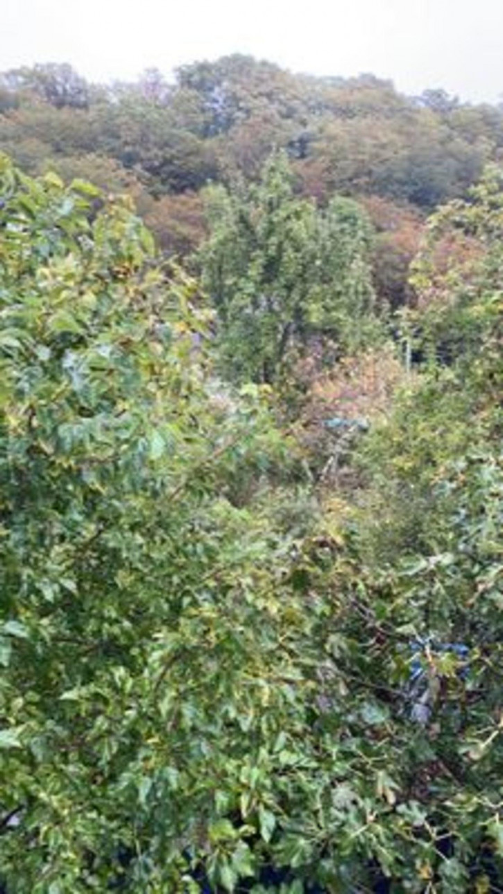 Купить Участок В Сочи Пластунка