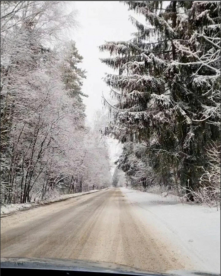 Земельный участок Тюнево