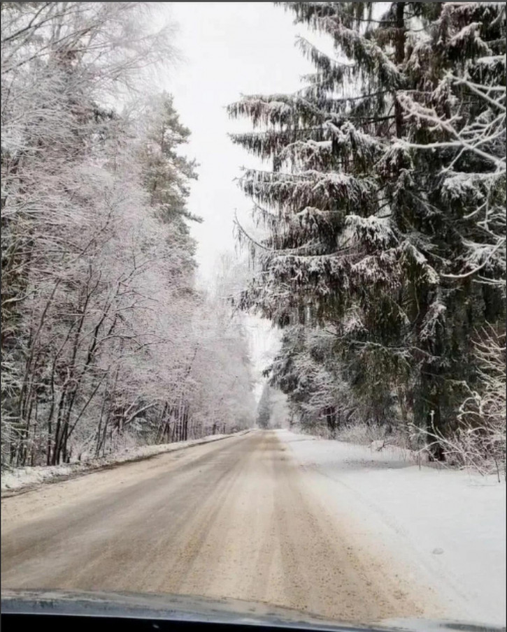 Земельный участок Тюнево