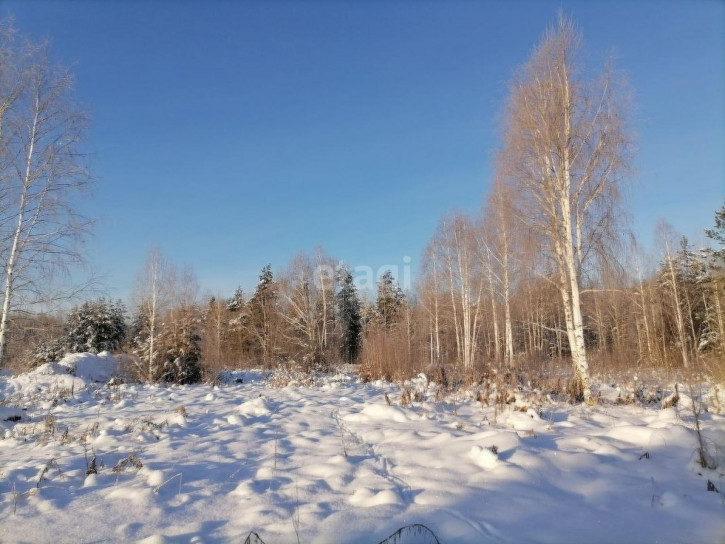 Земельный участок Тюнево