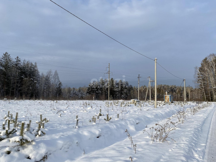 Земельный участок Тюнево