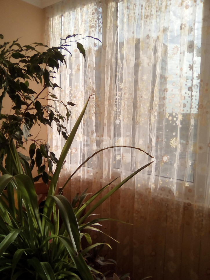 2-комн квартира Домостроителей, 20