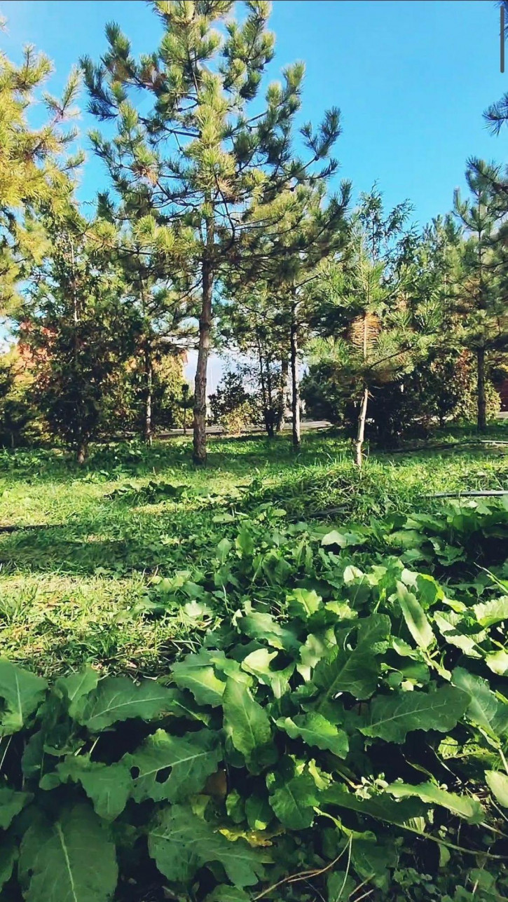 Склад Борисовка с, Калиновый пер, 9