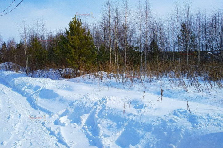 Земельный участок село Курганово