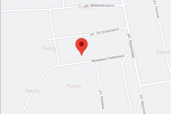 Коттедж/дом Мамина Сибиряка 10
