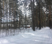 земля 15 сот п. Крутой, 69
